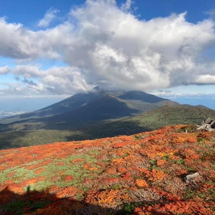 本州で一番早い紅葉