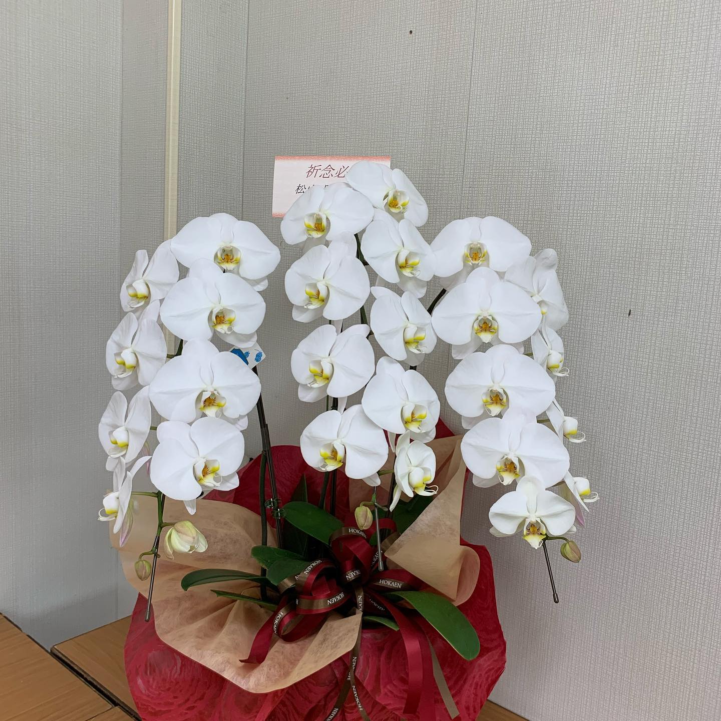 ありがとうございます