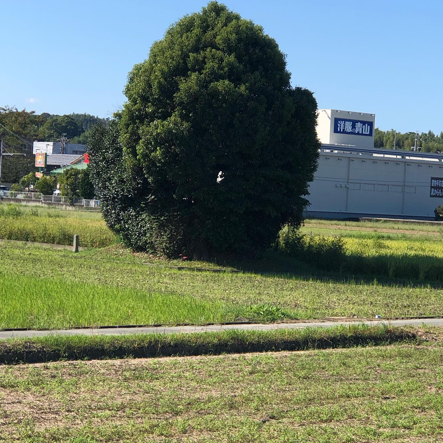 伊勢も秋の気配