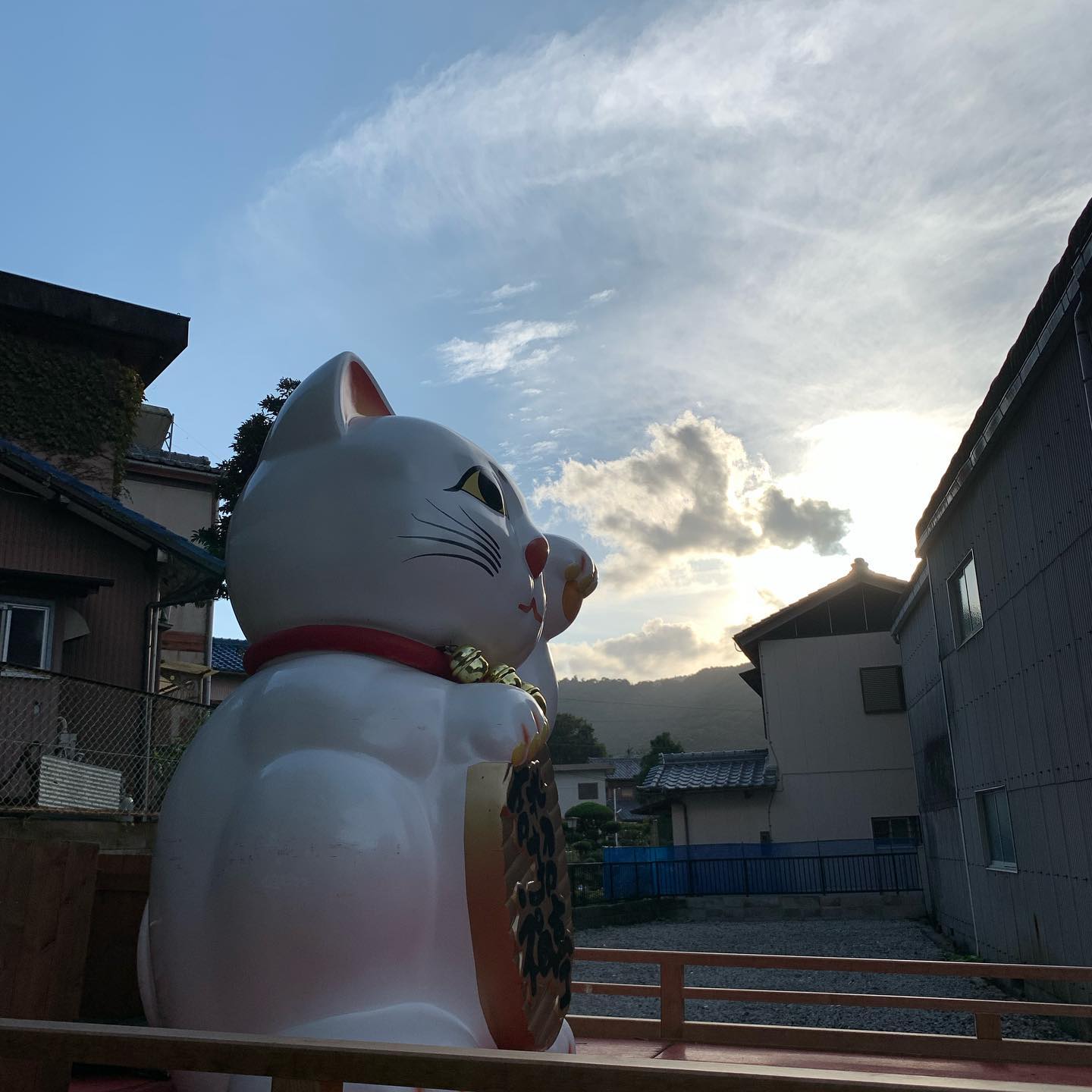 招き猫(=^x^=)