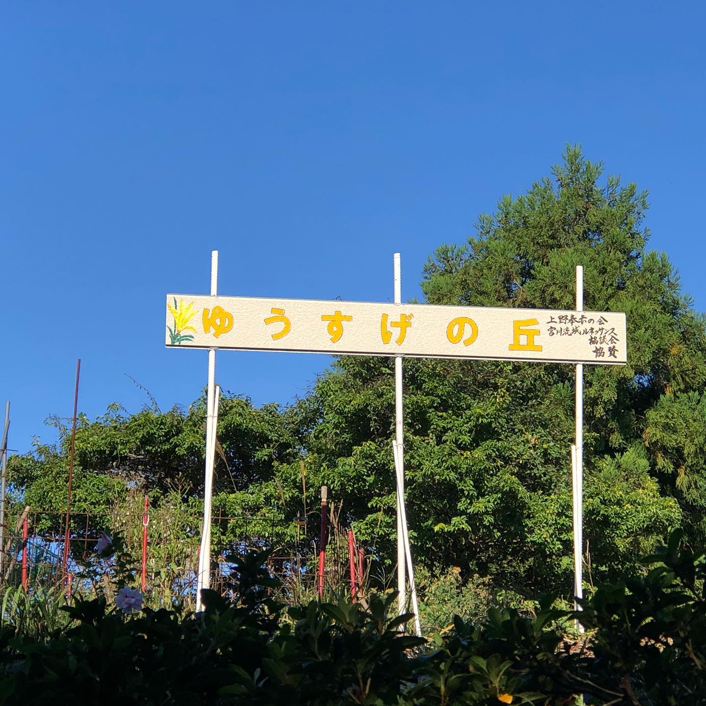 ユウスゲの丘