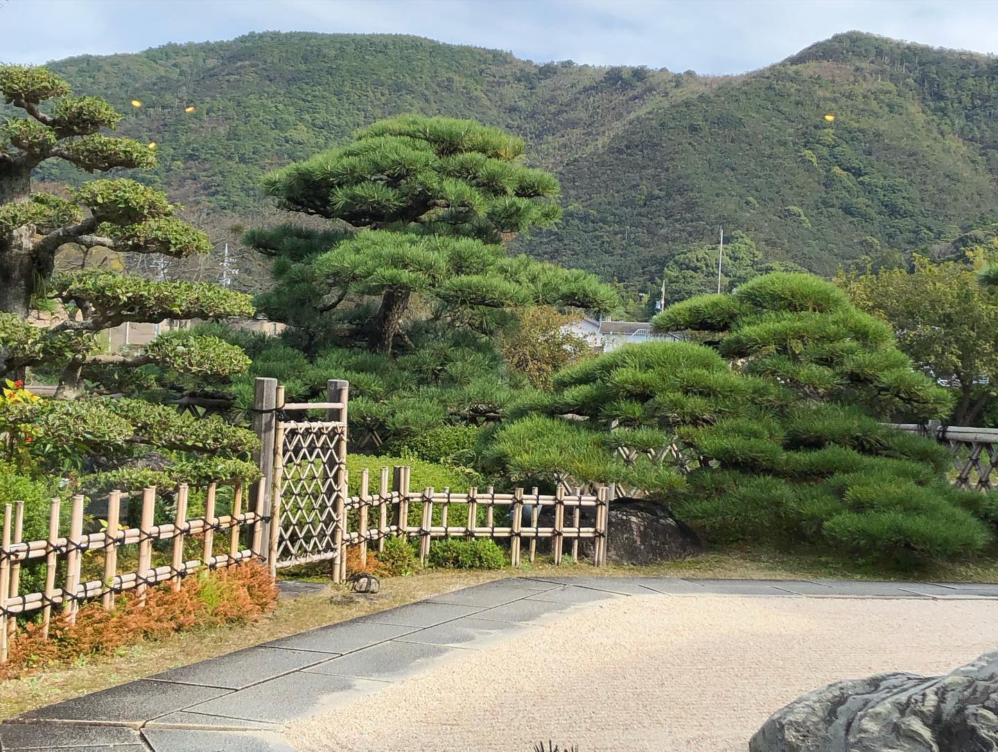 栗金団と抹茶