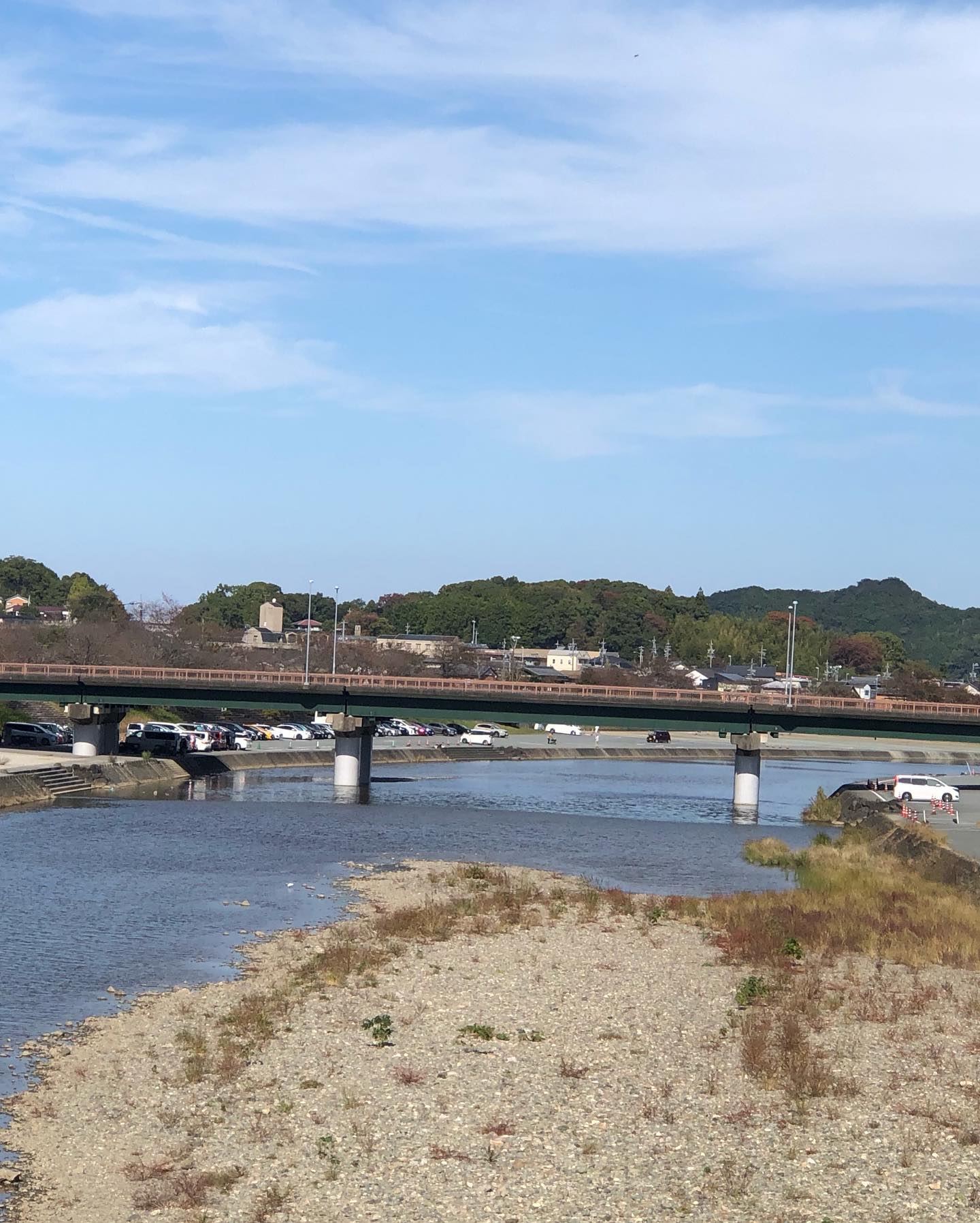 宇治の郷にも紅葉