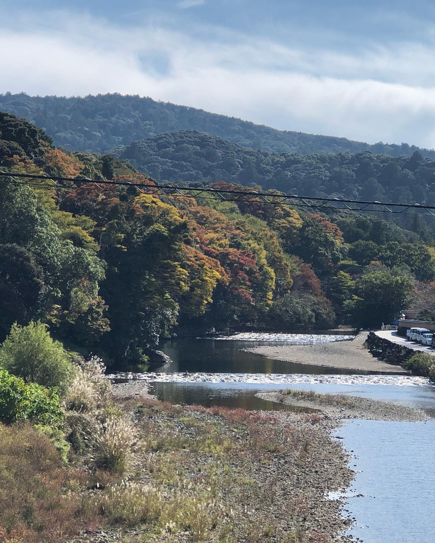 宇治の郷にも紅葉